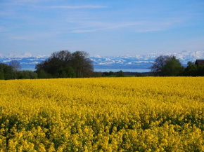 Apartment Lake Constance